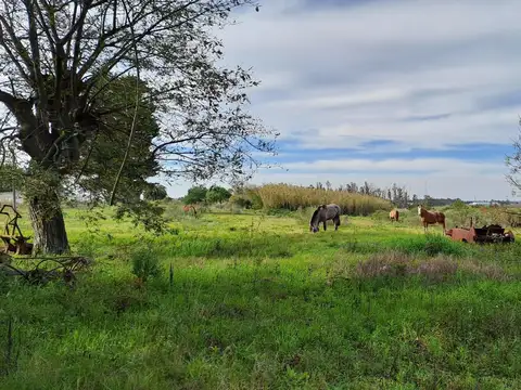 Vendo Campo 200 mts de frente ruta 1