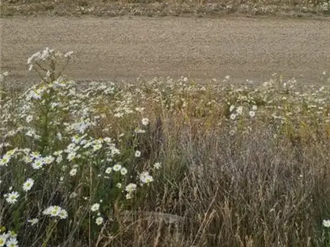 Terreno en Venta en Rio Grande, USD 26.000