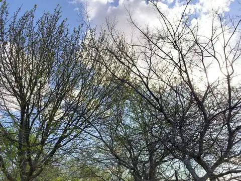 Terreno en Venta en Villa Elisa, USD 55.000