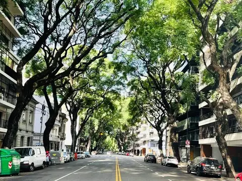 Avenida Pedro Goyena 1500