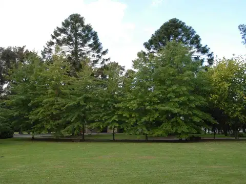 Terreno en Venta de 1280,0 m2