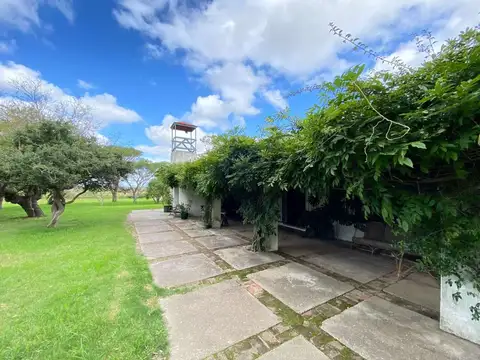 Camino de las Tropas 100