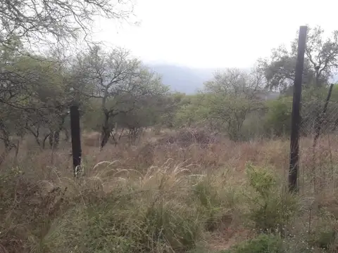 Terreno en Venta de 400,0 m2