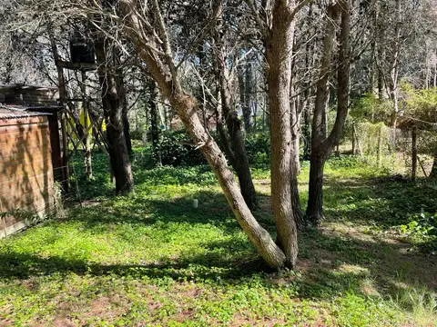 Calle 43 entre Pinamar y Necochea