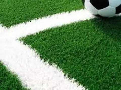 Consultar dirección