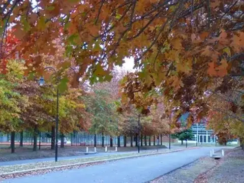 Terreno en venta - 1.069mts2 - Club Miralagos II