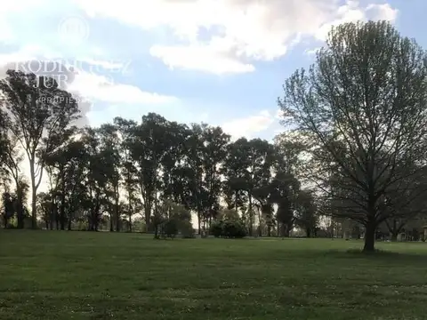 Terreno - Haras San Pablo