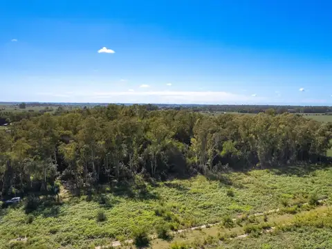 Terreno de 5000m2 arbolado en Villa Ruiz, San Andrés de Giles