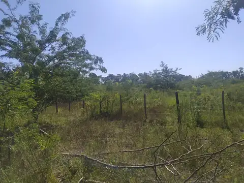 Terreno en venta - 10.000Mts2 - El Remanso, Exaltación de La Cruz