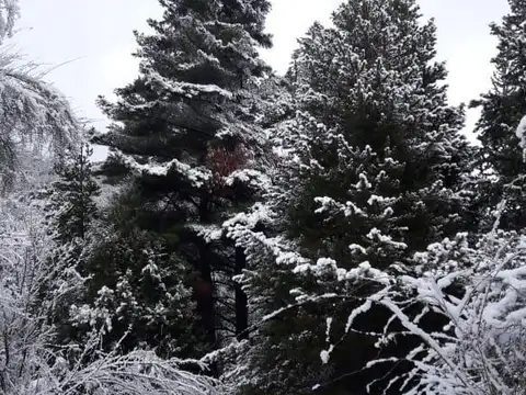 Terreno en Venta de 75000,0 m2