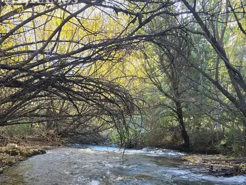 Ruta Nacional 40  al 1900