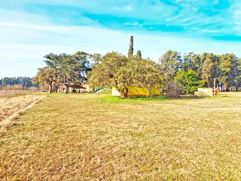Chacra en San Pedro 11.8 ha / Prod intensiva y fin de semana