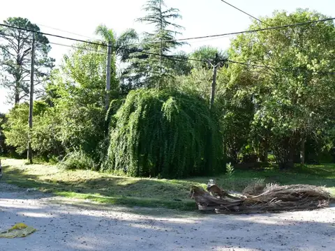 QUINTA EN ALTOS DEL SAUCE