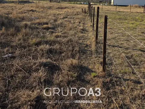 Pública 100, Piso 00