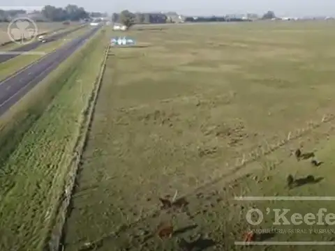 Campo en venta 106 has Brandsen Apto Desarrollo