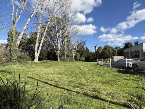 De Los Claveles 100, Piso 0