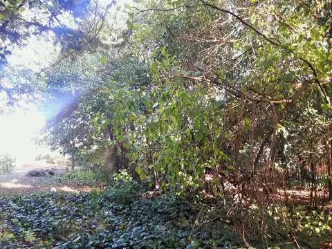 Terreno en Venta 20  mts Frente