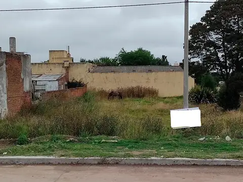 Avenida 9 e/ 62 y 64