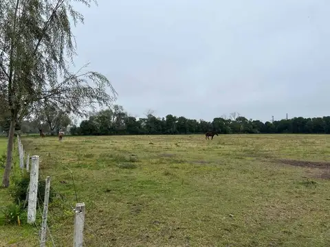 Terreno en Venta de 30580,0 m2