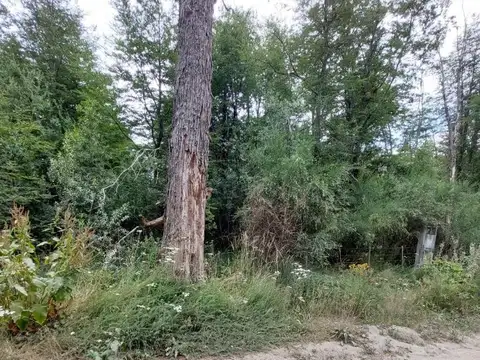 LOTE DE 787 M2 EN CALLE ANTARES – LAS BALSAS - ANGOSTURA