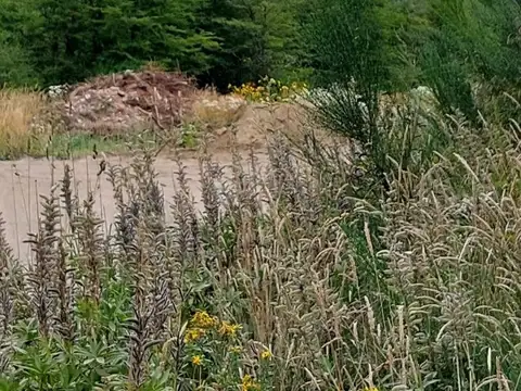 Terreno en Venta, FOT 30