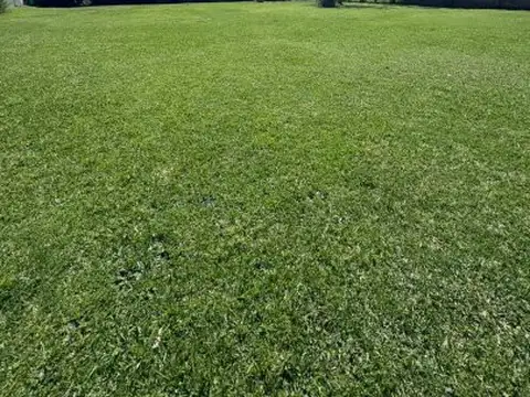 Terreno en Venta 15  mts Frente