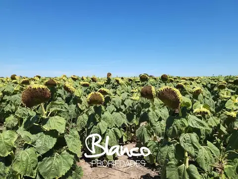 Villa Mercedes, San Luis -