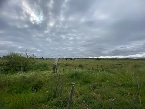 Terreno en Venta en Carmen de Areco, USD 104.000