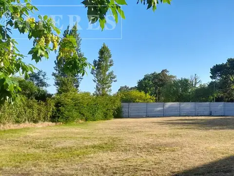 Lote en venta de 979m² en Los Jazmines, Pilar del Este