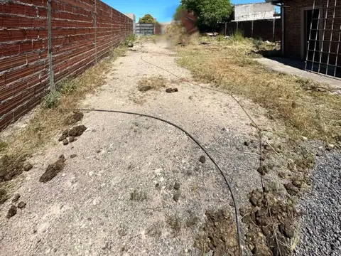 Tres Arroyos: Terreno de 12,5 x 50 cercano a Avenida