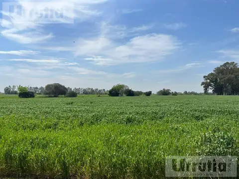 ESPECTACULAR FRACCION PARA DESARROLLO INMOBILIARIO