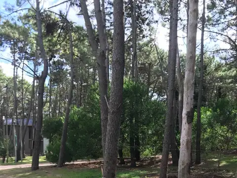 40 e/ Mar Azul y Mar del plata