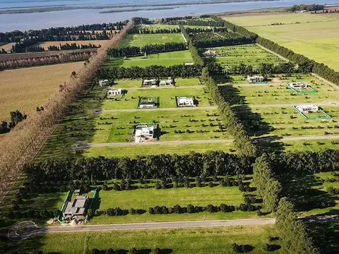 Azhares del Paraná - Los sentidos