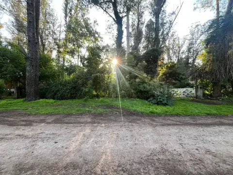 Terreno en Venta de 780,0 m2