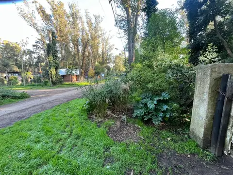 LOTE DE AMPLIAS MEDIDAS EN BOSQUE PERALTA RAMOS