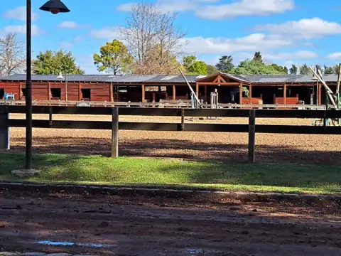Casa en Alquiler en Countries y Barrios Cerrados en Campana, USD 1.500