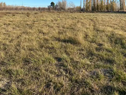 Terreno en Venta en General Roca, USD 16.000