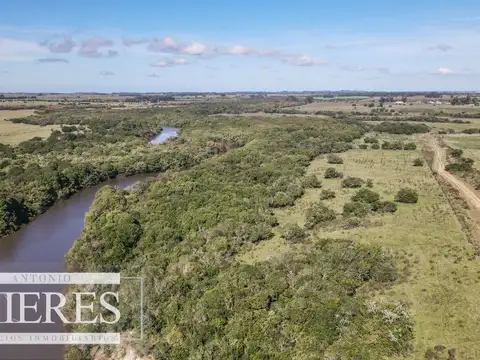 Campo en venta de 310 ha en Maldonado Ganadero/Agrícola
