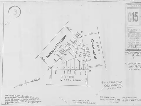 Charlone  1100*  Sup vendible :  943 m2.  m2.  ACEPTAMOS . Efectivo  usd 50.000. y   200 m 2.  ( 4 u