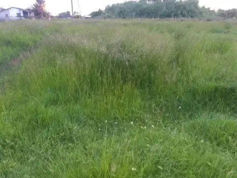 Terreno venta - 704mts2 totales - Mar Del Tuyu