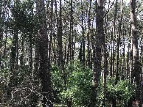 Terreno en Venta en Mar Azul, USD 165.000