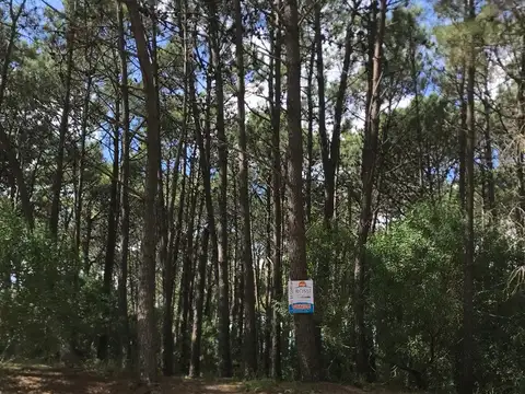 Terreno en Venta 20  mts Frente