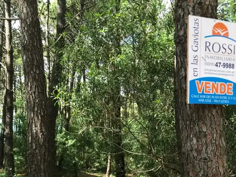 Av. Mar del Plata e/ 39 y 40