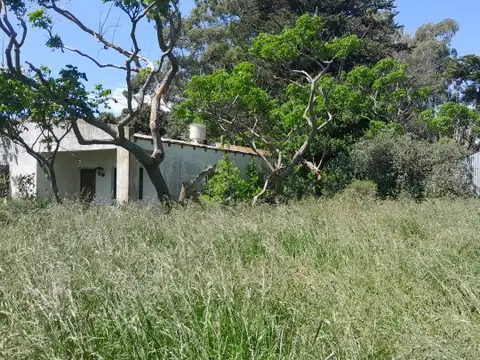 Venta Campo 172 Has  Partido de Ayacucho.  a 3 km de ruta 74