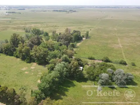 CAMPO 126 HAS CERCA DE RUTA 215 - PRODUCTIVO Y DISFRUTE - LA PLATA