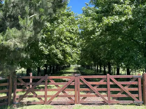 RUTA 3 KM 40 , Piso 0