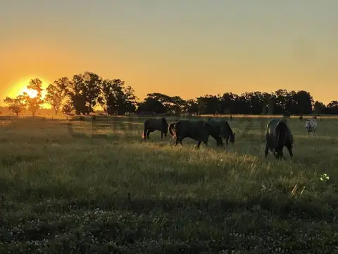 RUTA 3 KM 40 , Piso 0