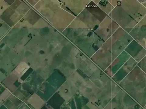 Campo en venta - 240.000Mts2 - Lobos