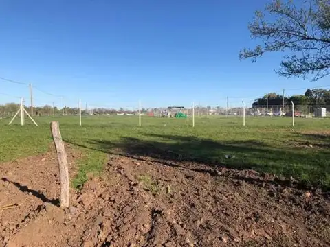 Terreno en Venta de 250,0 m2