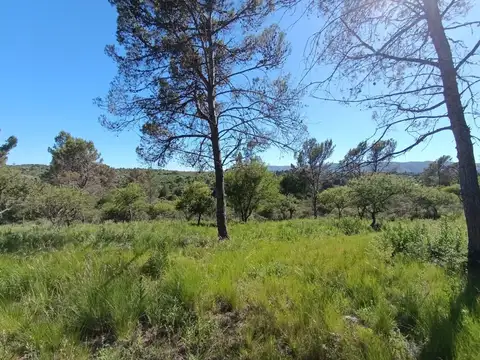 Terreno en Venta de 805,0 m2
